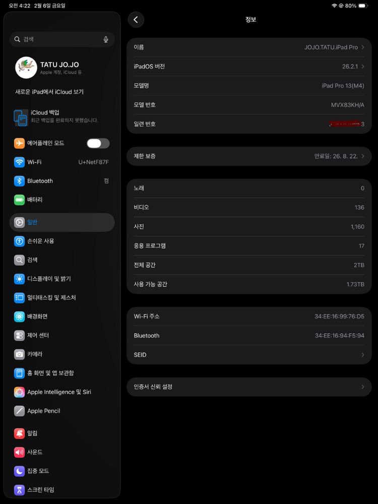 아이패드프로 13 M4 2TB + 애플 펜슬 프로--5
