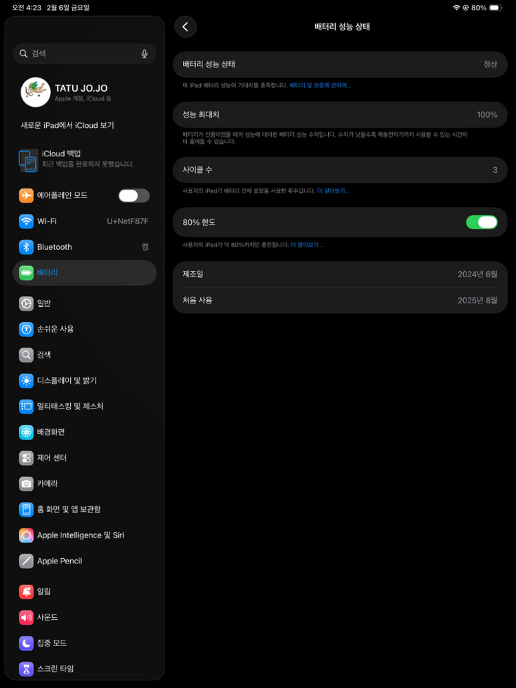 아이패드프로 13 M4 2TB + 애플 펜슬 프로--7
