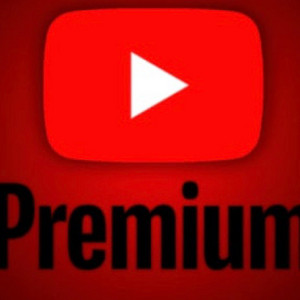 유튜브 프리미엄 1년(12개월)