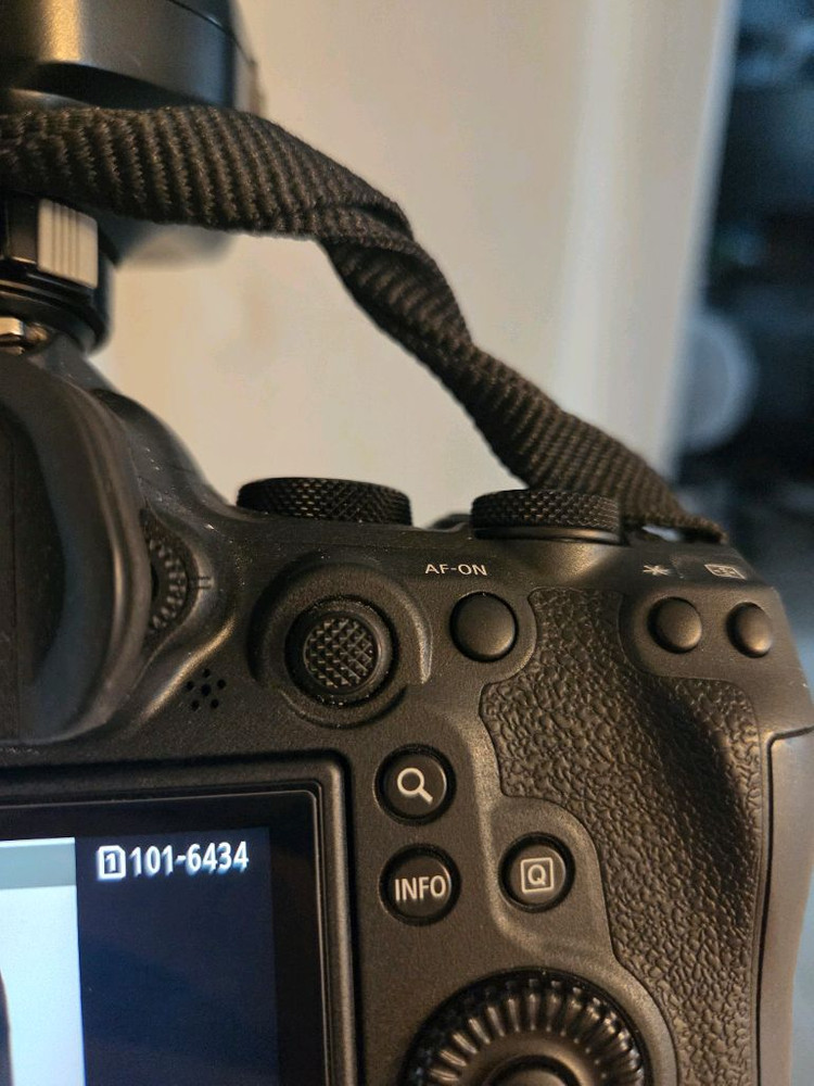 용인 캐논 EOS R6 Mark II 카메라 +렌즈(rf 24-105 f4) + Godox 트리거 이미지