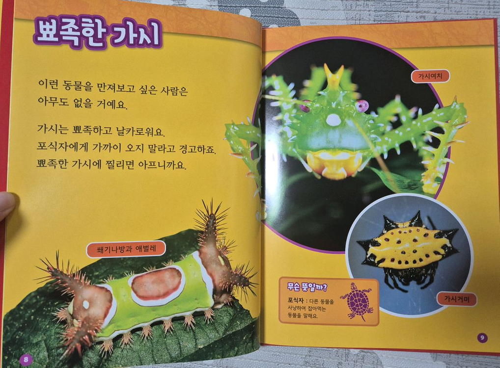 내셔널지오그래픽 자연과학 세트 D,E,F(한-영버전)--1