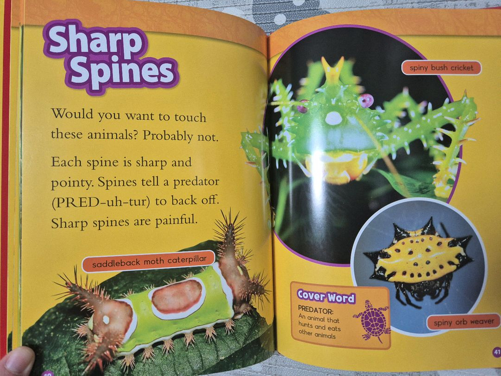 내셔널지오그래픽 자연과학 세트 D,E,F(한-영버전)--2