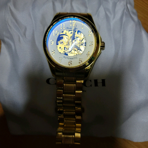 DeVille 금색 오토매틱 남성 시계