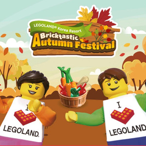 레고랜드 종일입장권 있습니다