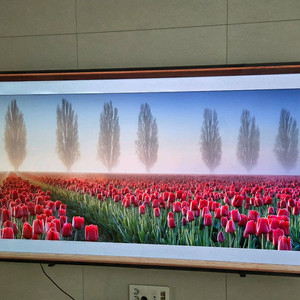 lg 올레드tv 77인치