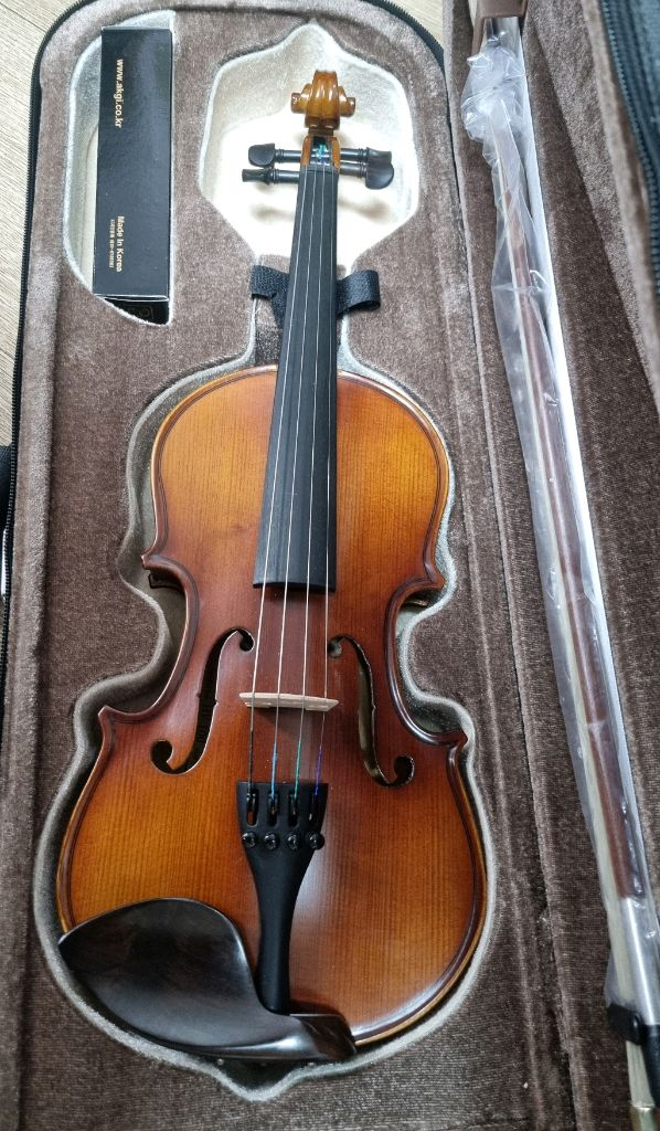 1/4 효정 HV-100 바이올린 이미지