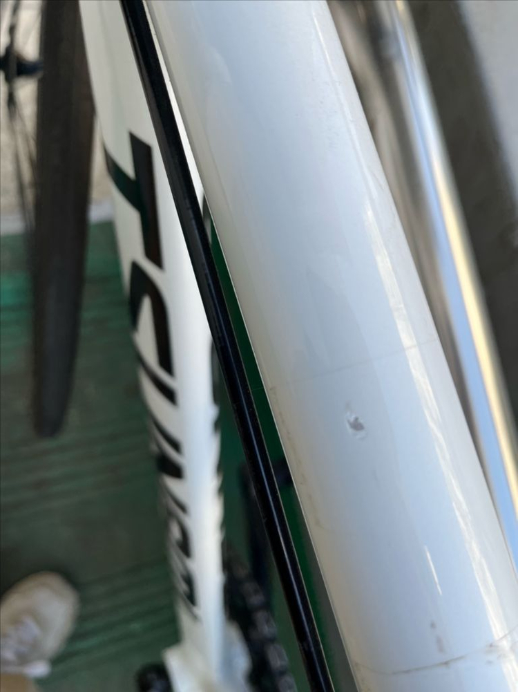 쓰나미화이트 픽시팔아요--3