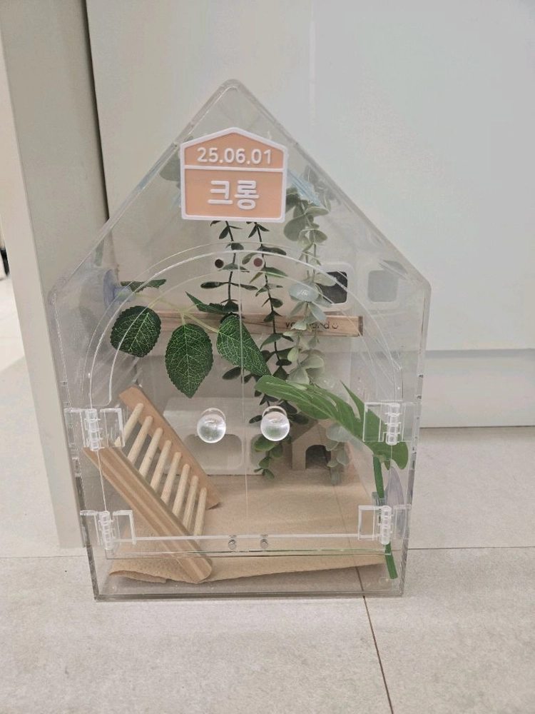 도마뱀 투명 아크릴 사육장 + 사육 용품 세트 - 안심되는 중고거래