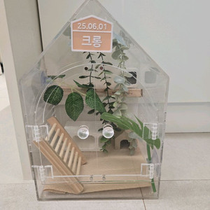 도마뱀 투명 아크릴 사육장 + 사육 용품 세트 이미지