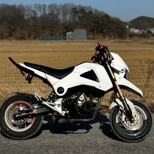 혼다MSX125/15년식/1만키로/105만원/튜닝완 이미지