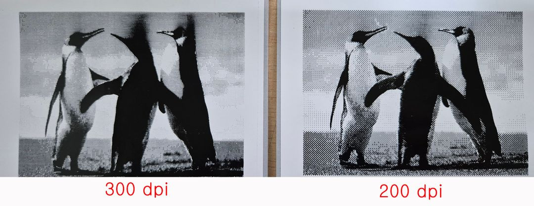 도시바 B-452-TS22 산업용 라벨 바코드 케어라벨프린터 의류라벨프린터 세탁라벨 와끼라벨 프린터/ 300dpi--3