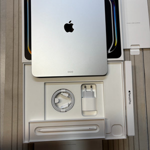 아이패드 프로7세대 13인치 M5 +정품 애플펜슬프로포함 (기스 없음)