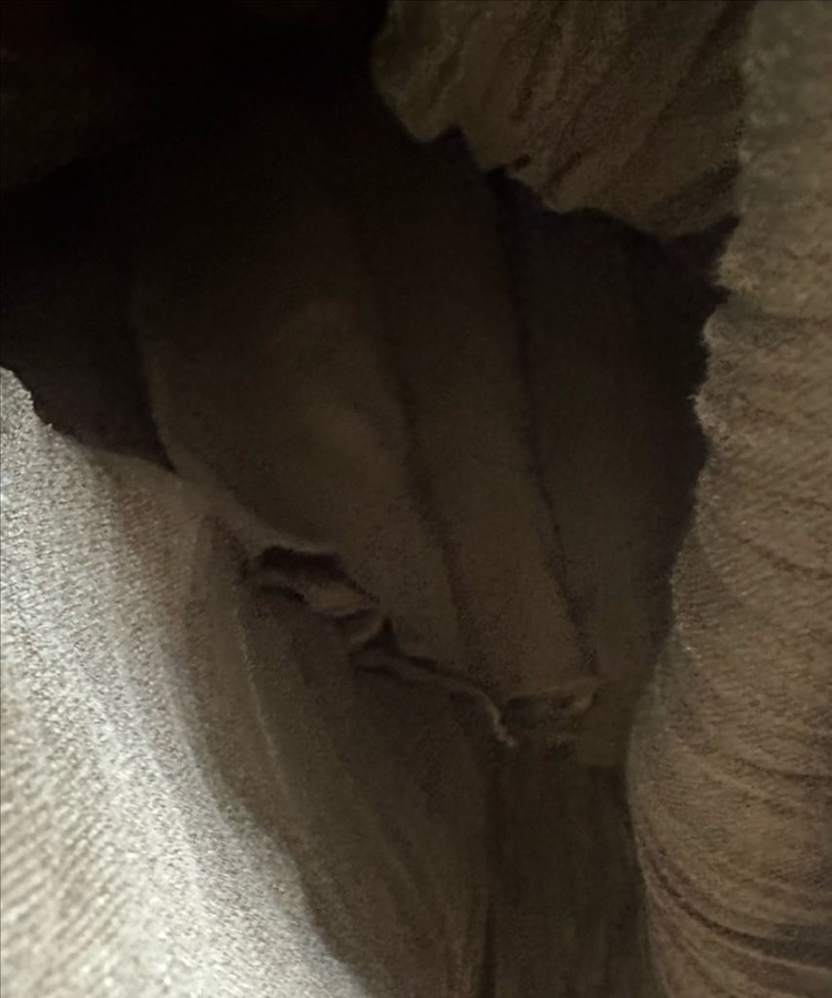 가격내림 중고 스웨이드주름치마 링크스커트 플리츠치마 주름치마 사이즈55-77--5