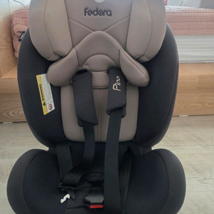 프리미엄 페도라카시트 이미지