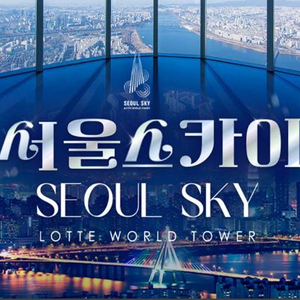 롯데월드타워 전망대 입장권