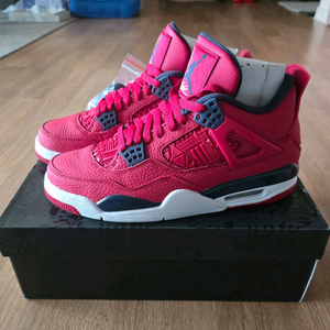 나이키 에어 조던 4 레트로 SE 짐 레드 270 이미지