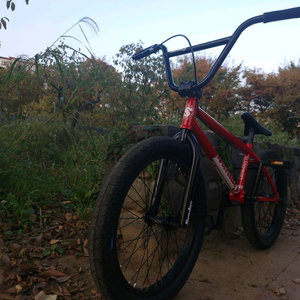 선데이 bmx 하자x