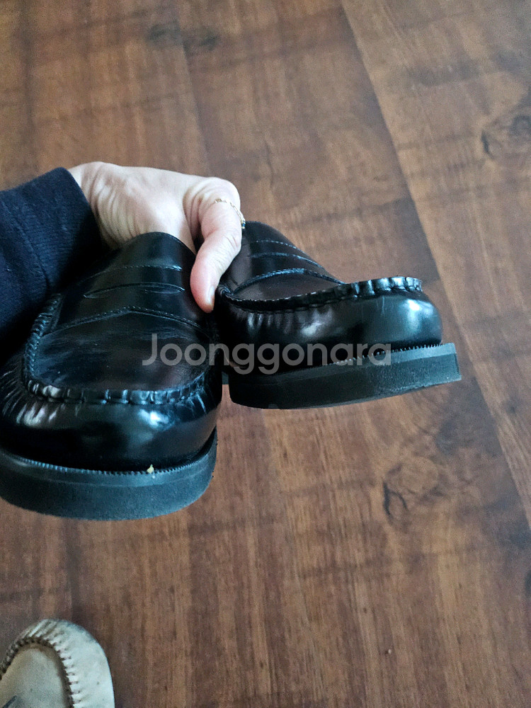 락포트 사스 나르지오 250--2