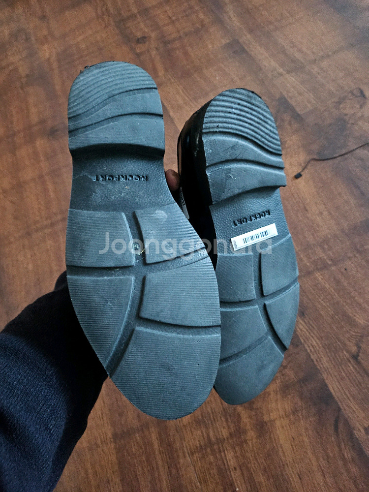 락포트 사스 나르지오 250--3