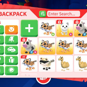 입양하세요 젖소 팝니다 이미지