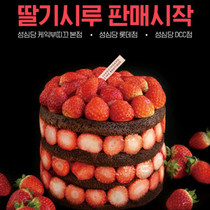 [만족도 100%] 성심당 딸기시루 말차시루 구매 해드려요