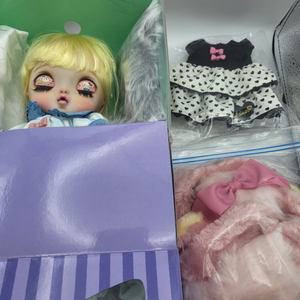 커스텀브라이스(지아돌스)급처 가격내림