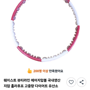 나리아웨이스트훌라후프 2.4kg 새상품 이미지
