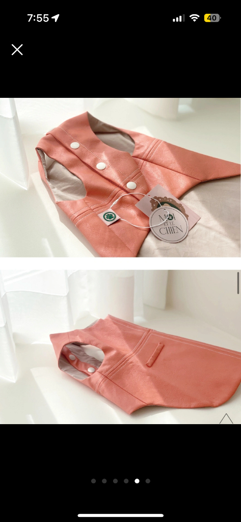 강아지 레더자켓 이미지