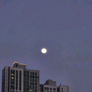 올뉴카니발리무진 순정tv로 스마트tv교환 이미지