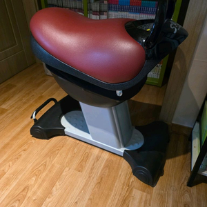 에스라이더 럭셔리 승마기구 이미지