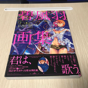 미도리 후우 아트북 화집 화보집 일러스트집