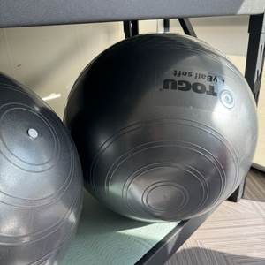 토구 마이볼 소프트 짐볼