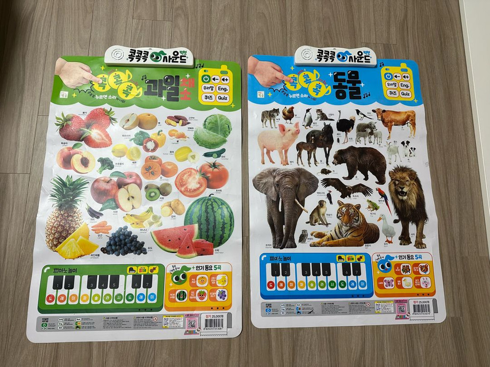 러닝리소스 색깔곰, 분류접시. 콕콕 사운드북--2