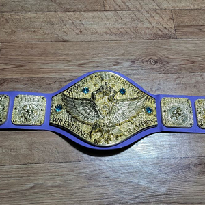 WWWF 벨트 팝니다