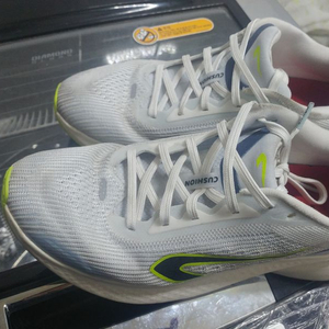 (공일공9917팔사육팔(265사이즈)휠라,데카트론