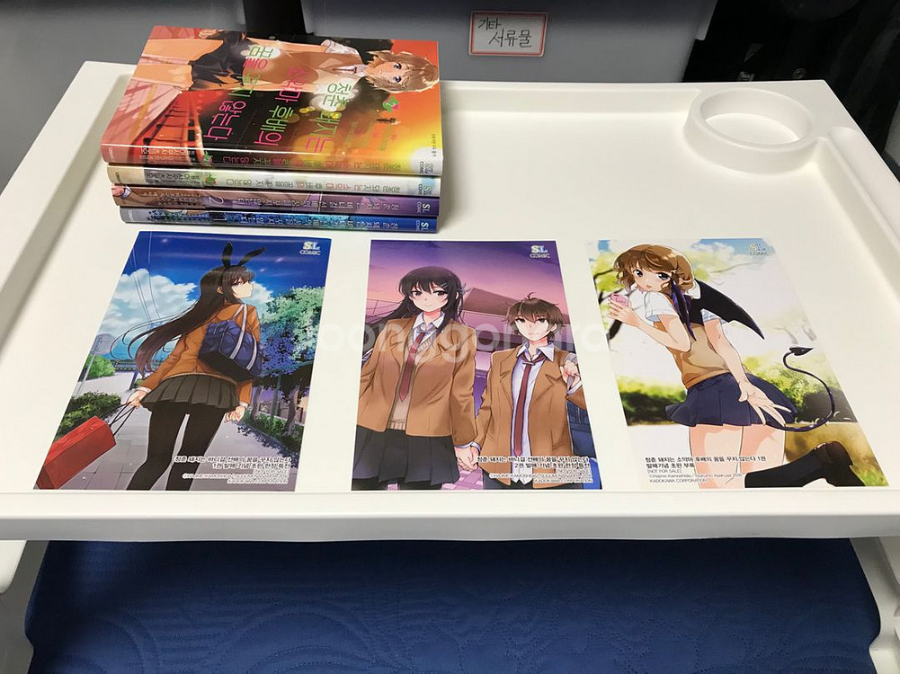 라노벨 라이트 노벨 청춘 돼지 만화책 코믹스 총 4권 올초판 초판--1