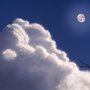 스팀 선물하기 70% 구매원합니다 (2만5천원) 이미지