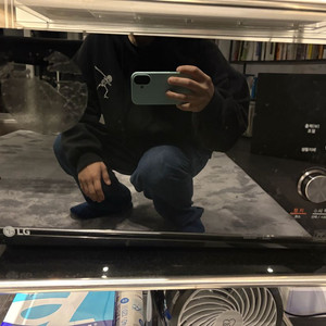 엘지 전자레인지