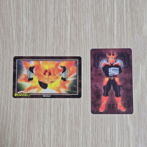 일괄) 히로아카 나히아 엔데버 카드 팝퍼블 지류 나의 히어로 아카데미아