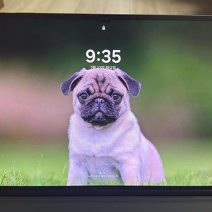 갤럭시탭 S8 울트라 256GB wifi