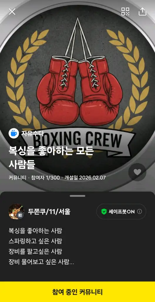 복싱을 좋아하는 모든 사람들 (무료) - 안심되는 중고거래