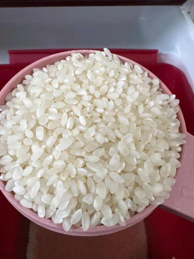 철원오대쌀20kg--1