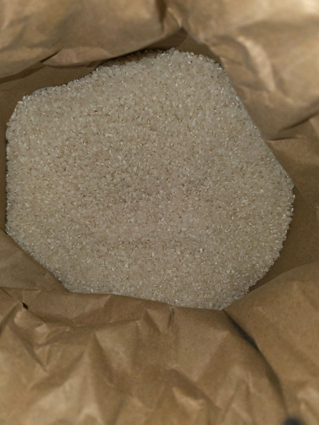 철원오대쌀20kg--2