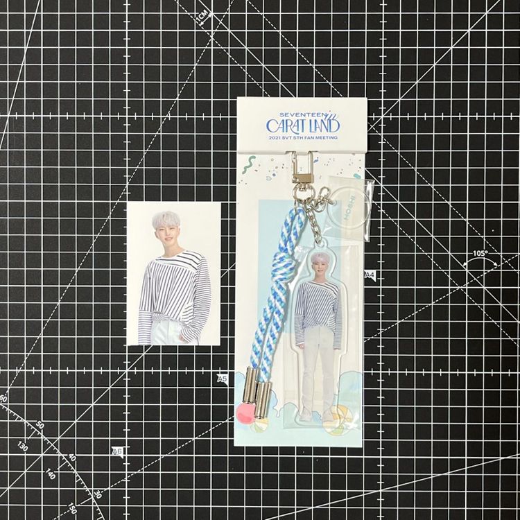 세븐틴 2021 캐럿랜드 호시 아크릴 키링 포카 포토카드 이미지