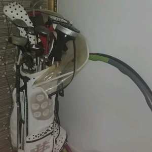 여성용 골프채 풀세트