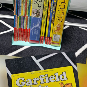 가필드와 Hero시리즈 원서+CD