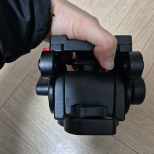 맨프로토 헤드 501