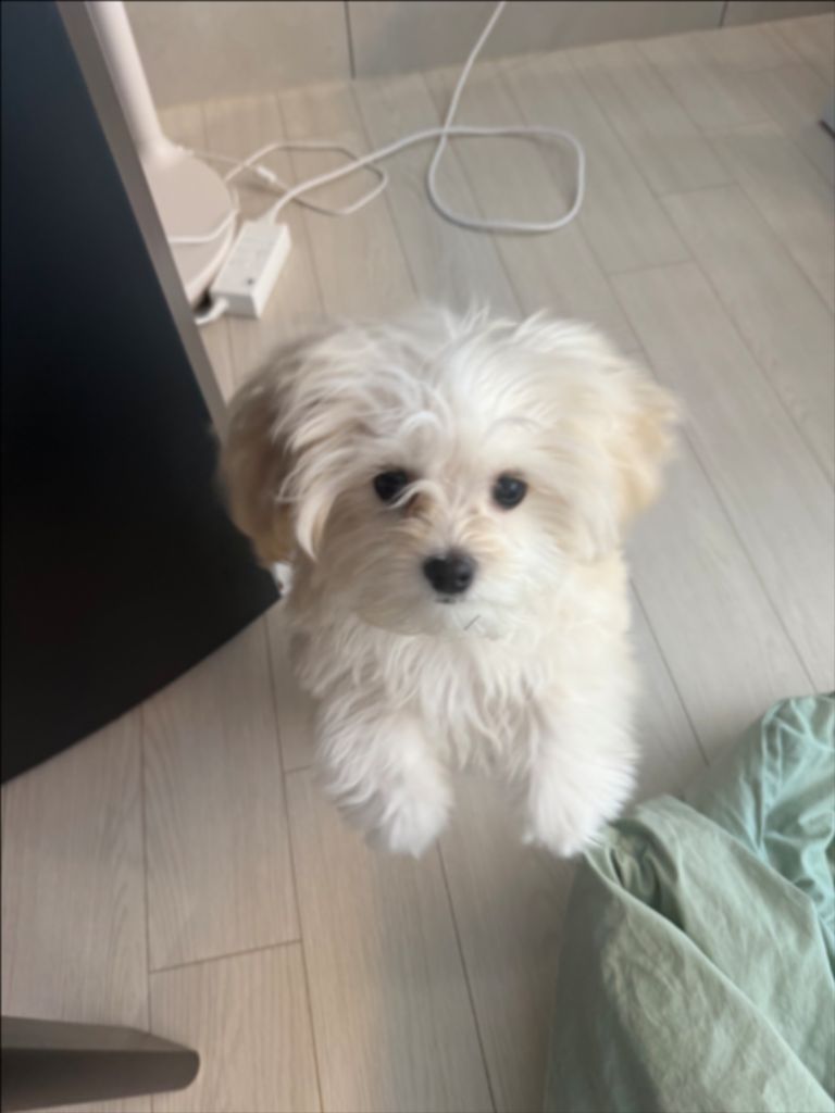 프로필 이미지