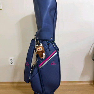 클리블랜드 블룸 여성용 골프채 풀세트 + 클리블랜드 경량 스탠드 골프백