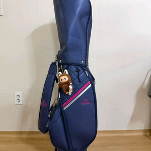 클리블랜드 블룸 여성용 골프채 풀세트 + 클리블랜드 경량 스탠드 골프백